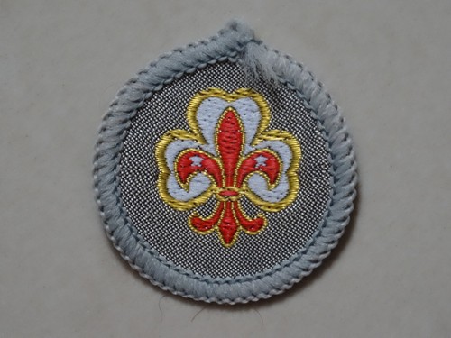 Scout guide fellowship badge - scout/guide,