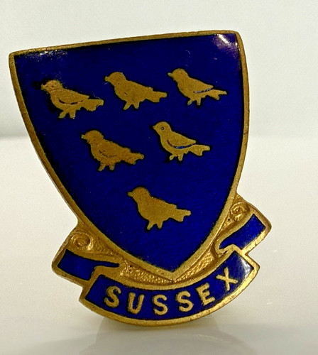 Vintage badge sussex - vintage,