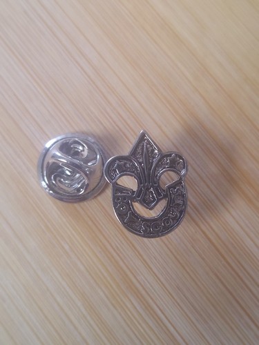 Scouting silver coloured - uk,