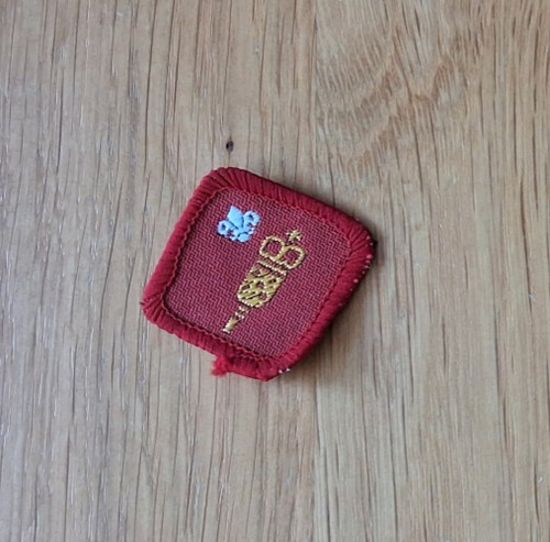 Boy scout proficiency - scout, uk