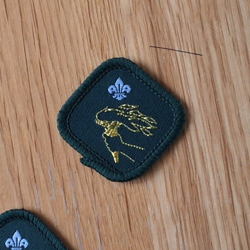 Boy scout proficiency - boy,