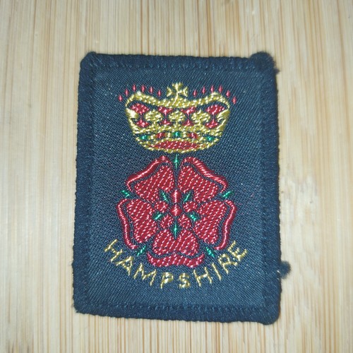 Scouting county badge - scouting,