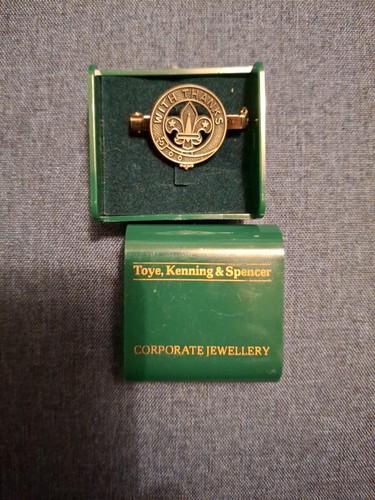 Boy scouts scout - boy, with