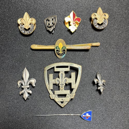 Vintage boy scouts - vintage, fleur