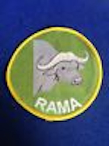 Cub scout badges official - scout,