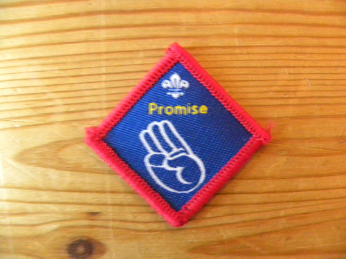 Scouting discontinued scout - uk,