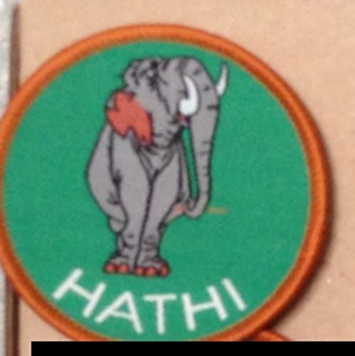 Cub scout badges official - scout,