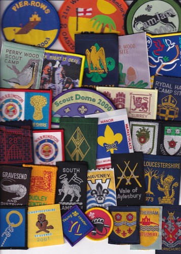 Boy scout badges - scout, 30