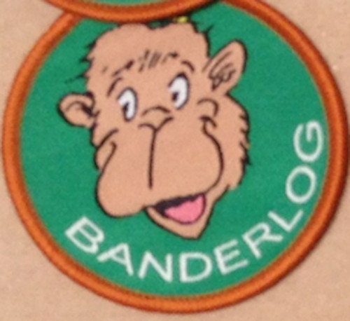 Cub scout badges - badges, official