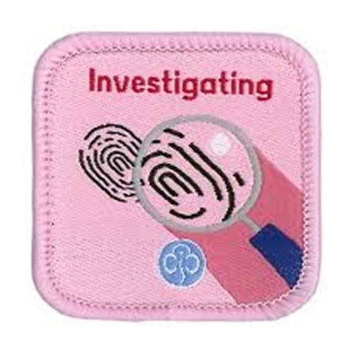 Guide interest badge - guide,