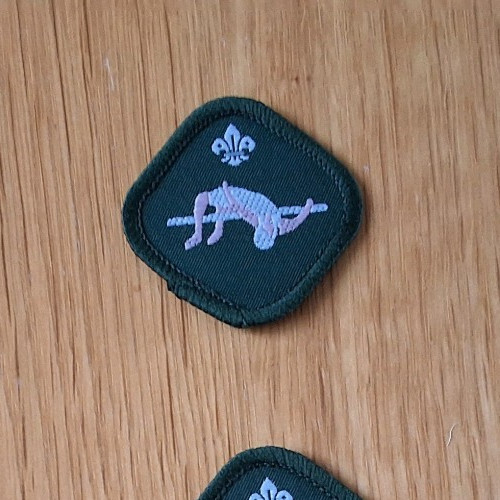 Boy scout proficiency - boy,