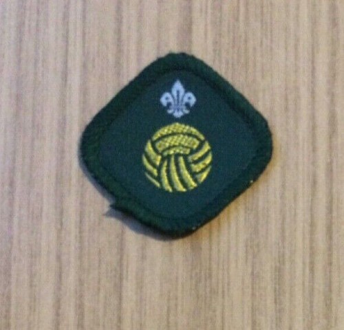 Boy scout proficiency - boy,