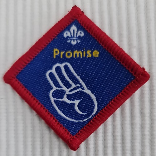 Scout badges - , uk