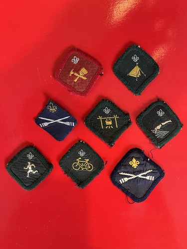 Small collection scout - small, of