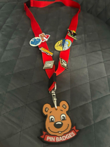 Scouts enamel pin - enamel, badges