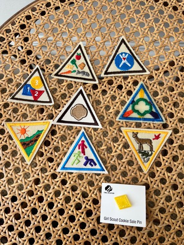 Girl scout badges - girl,