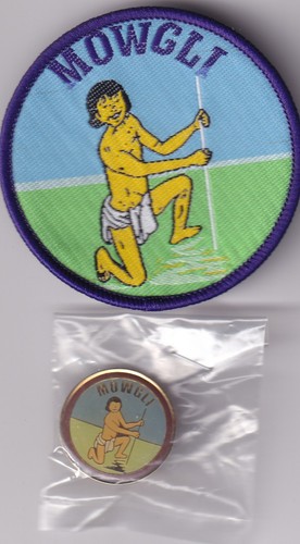 Boy scout cloth enamel pin - boy,