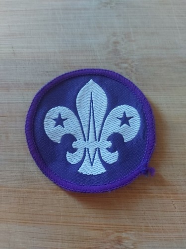 Scouting 1980 leaders - uk,