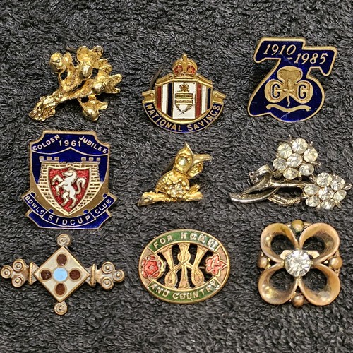 Job lot vintage - vintage, badges