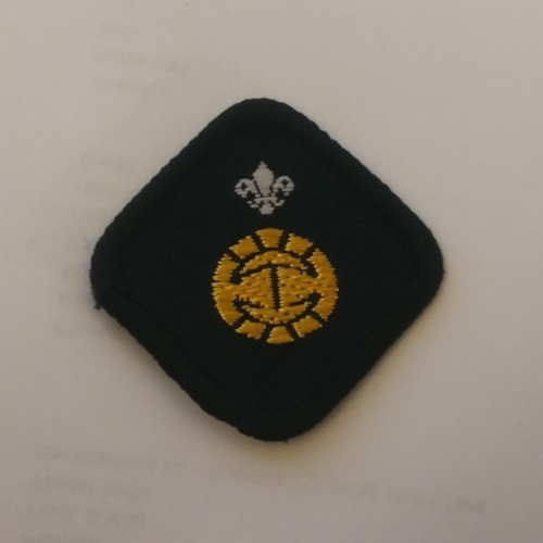 Vintage scout badges mainly - vintage,
