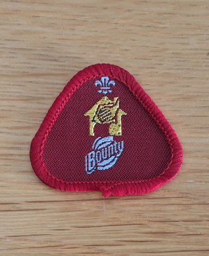 Cub scout sponsored - uk,