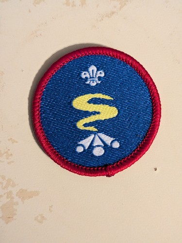 Scout activity badge - scout,