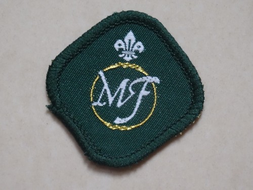 Scout proficiency badges - scout,