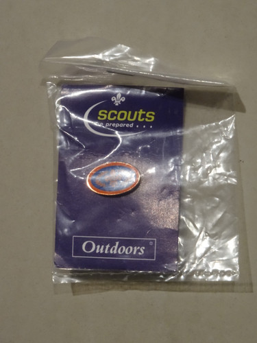 Chief scout bronze award pin - scout,