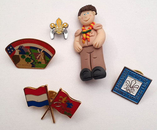 Boy scouts pin - x,