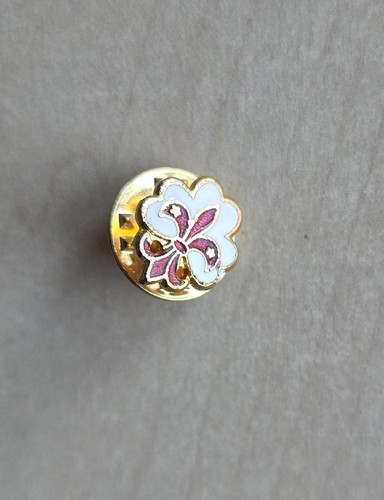 Scouting and girls guides pin - and,