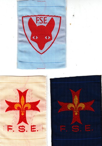 Boy scout badges - scout, obsolete