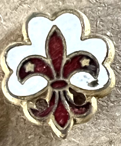 Scouting pin badges - pin, (various)