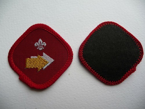 Scout proficiency badges - proficiency,