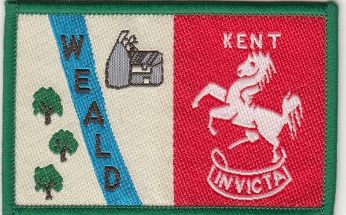 Boy scout double badge - scout,