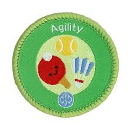 Rainbow guide interest badge - guide,