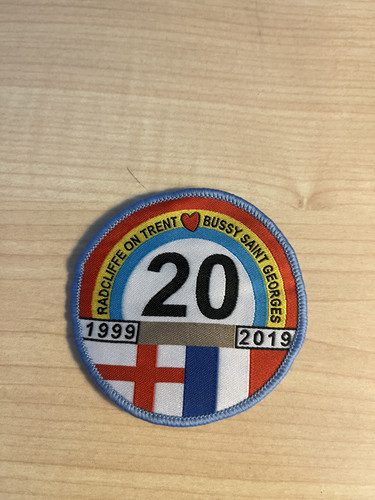 Girl guiding badges - girl,