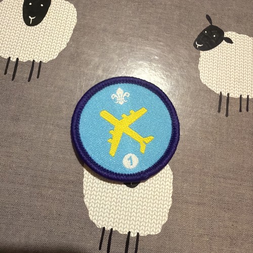 Scouts staged badge - scouts, air