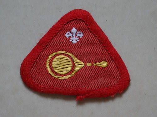Cub scout proficiency activity - scout, proficiency/activity