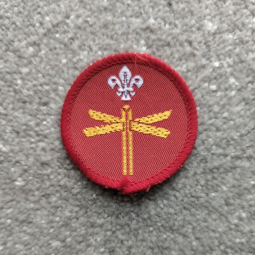 Cub scout proficiency badge - scout,