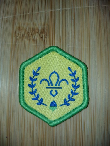 Scouting current chief - current,
