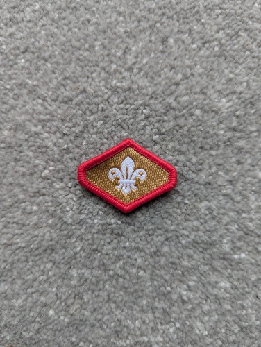 Chief scout gold - chief, award