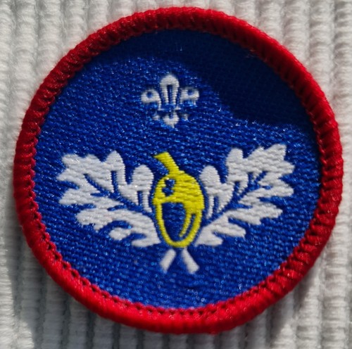Scout badges - , uk