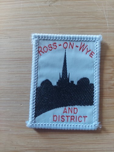 Scouting district badge - uk,