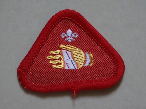 Cub scout proficiency activity - cub,