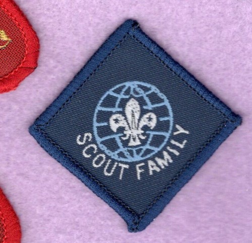Scouting boy scouts cub - scouting/boy,
