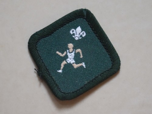 Scout proficiency badges - scout,